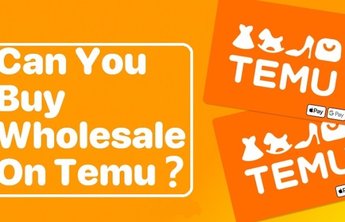 Do Temu Do Wholesale: Can You Buy Wholesale from Temu?